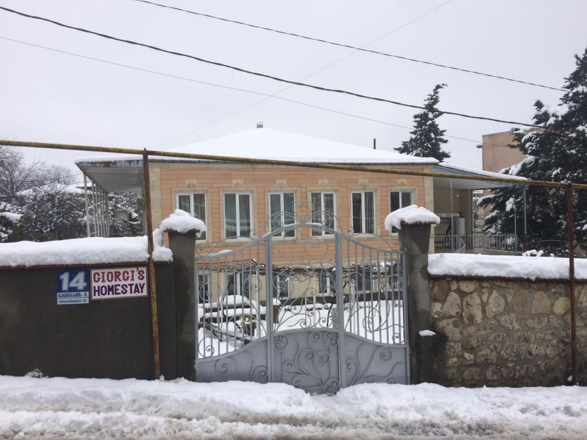 קוטאיסי Giorgi'S Homestay מראה חיצוני תמונה